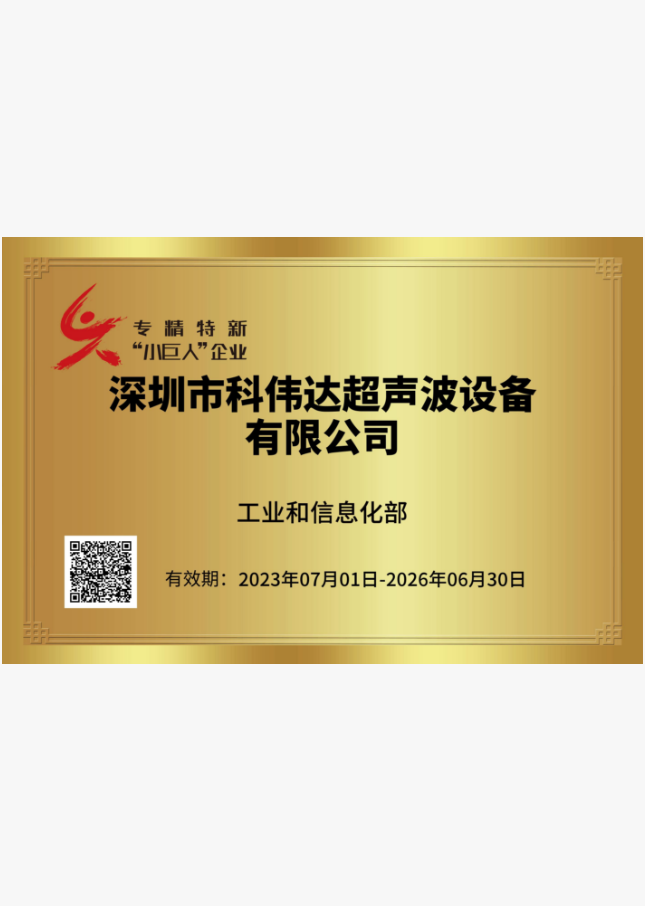 專精特新“小巨人”企業(yè)